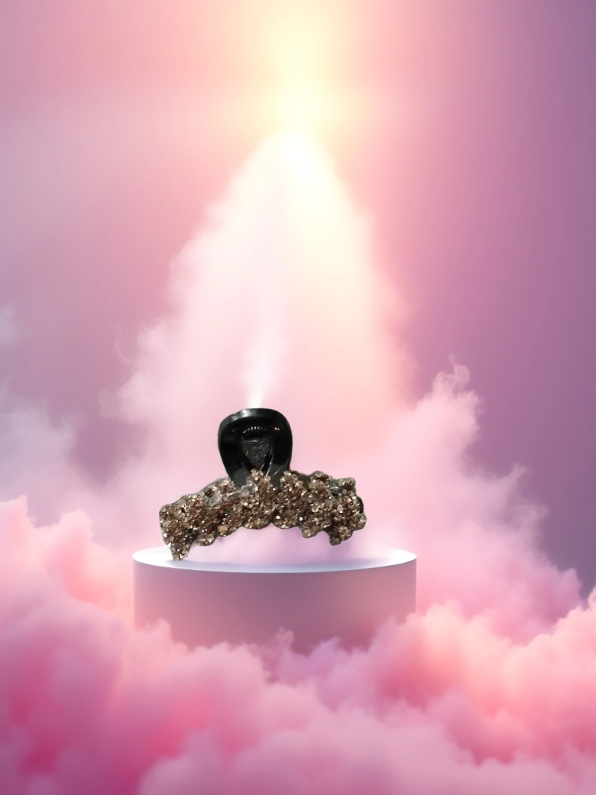 Plastic Korean Style Hair Clips